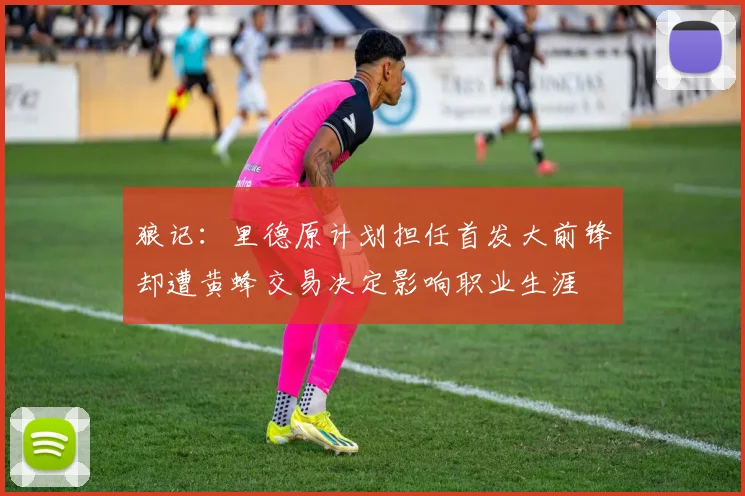 狼记:里德原计划担任首发大前锋却遭黄蜂交易决定影响职业生涯