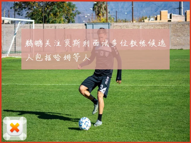 鹈鹕关注莫斯利面试多位教练候选人包括哈姆等人
