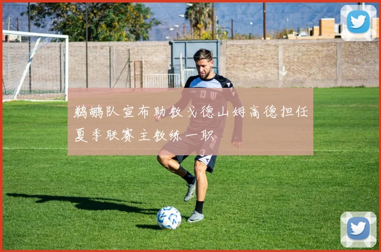鹈鹕队宣布助教戈德山姆高德担任夏季联赛主教练一职