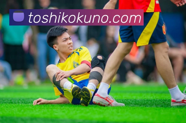 B体育·(sports)平台生态图